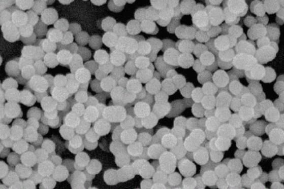 多孔氧化锌纳米材料 独特孔状结构驱动多领域应用革新
